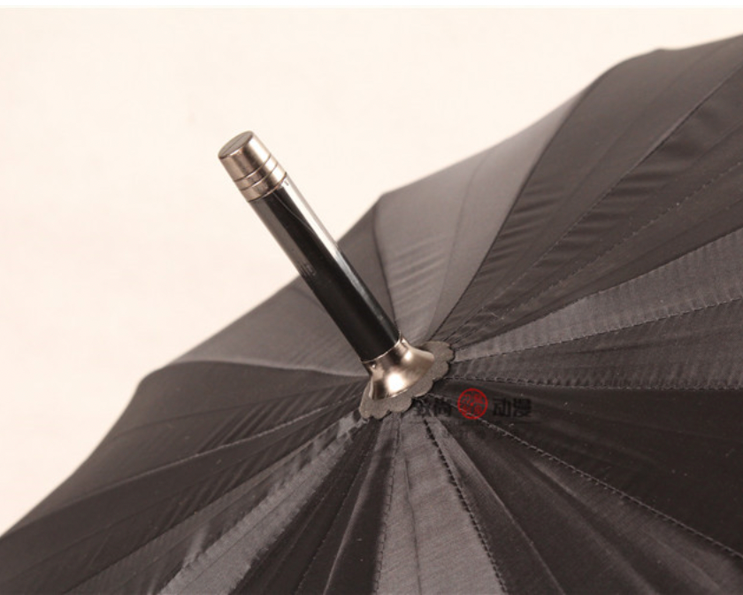 martial arts umbrella