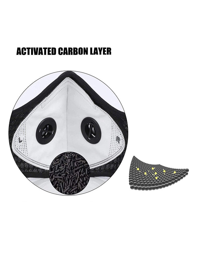 air pollution face mask